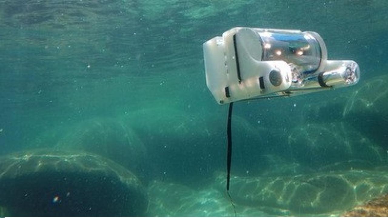 ROV in action 